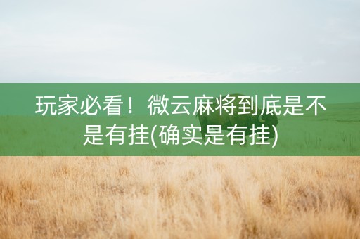 玩家必看！微云麻将到底是不是有挂(确实是有挂)