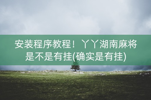 安装程序教程！丫丫湖南麻将是不是有挂(确实是有挂)