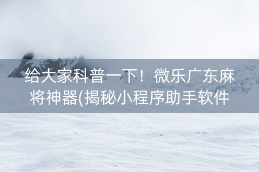 给大家科普一下！微乐广东麻将神器(揭秘小程序助手软件)