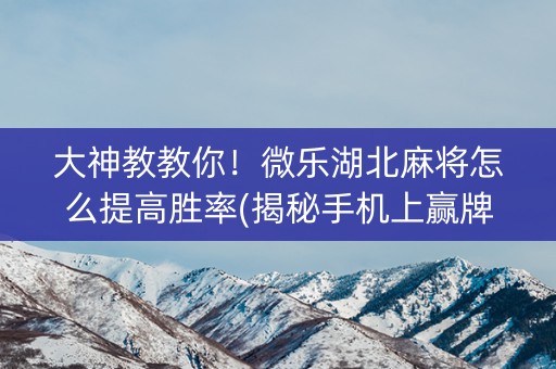 大神教教你！微乐湖北麻将怎么提高胜率(揭秘手机上赢牌的技巧)