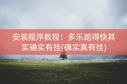 安装程序教程！多乐跑得快其实确实有挂(确实真有挂)