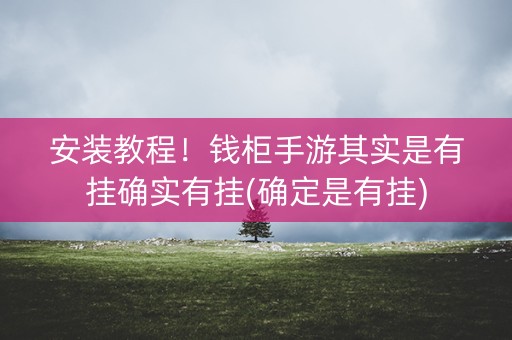 安装教程！钱柜手游其实是有挂确实有挂(确定是有挂)