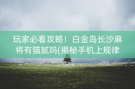 玩家必看攻略！白金岛长沙麻将有猫腻吗(揭秘手机上规律攻略)