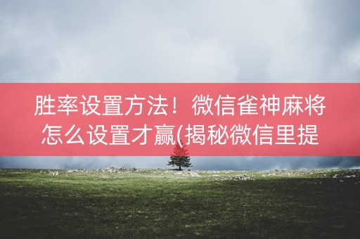 胜率设置方法！微信雀神麻将怎么设置才赢(揭秘微信里提高胜率)