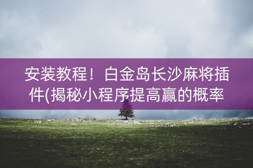 安装教程！白金岛长沙麻将插件(揭秘小程序提高赢的概率)