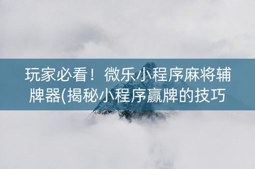 玩家必看！微乐小程序麻将辅牌器(揭秘小程序赢牌的技巧)