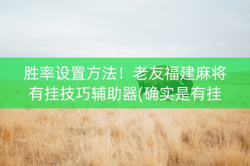 胜率设置方法！老友福建麻将有挂技巧辅助器(确实是有挂的)