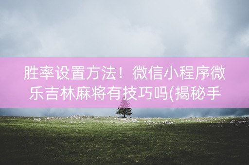 胜率设置方法！微信小程序微乐吉林麻将有技巧吗(揭秘手机上输赢规律)