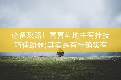 必备攻略！喜喜斗地主有挂技巧辅助器(其实是有挂确实有挂)