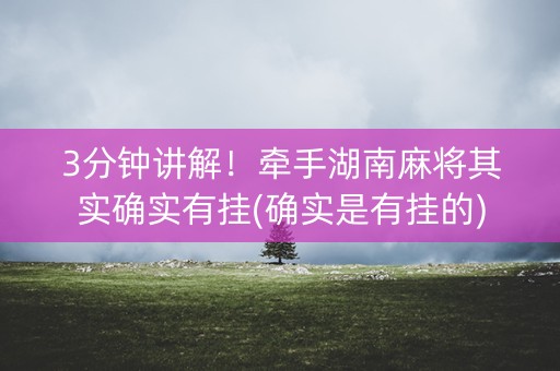 3分钟讲解！牵手湖南麻将其实确实有挂(确实是有挂的)