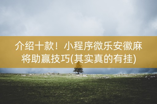 介绍十款！小程序微乐安徽麻将助赢技巧(其实真的有挂)