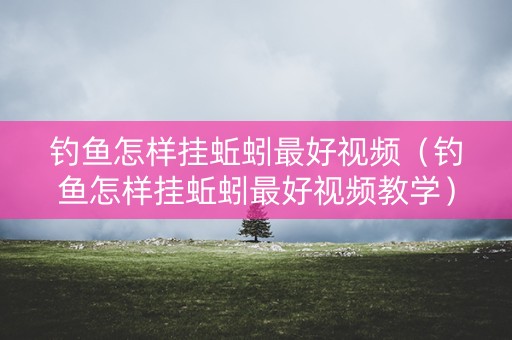钓鱼怎样挂蚯蚓最好视频（钓鱼怎样挂蚯蚓最好视频教学）