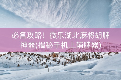 必备攻略！微乐湖北麻将胡牌神器(揭秘手机上辅牌器)