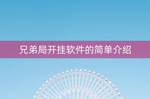 兄弟局开挂软件的简单介绍