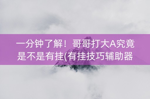一分钟了解！哥哥打大A究竟是不是有挂(有挂技巧辅助器)