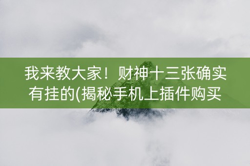 我来教大家！财神十三张确实有挂的(揭秘手机上插件购买)