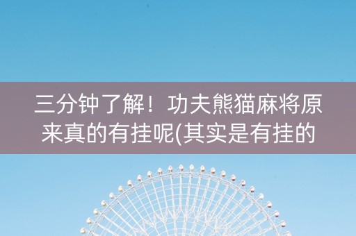三分钟了解！功夫熊猫麻将原来真的有挂呢(其实是有挂的)