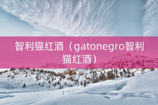 智利猫红酒（gatonegro智利猫红酒）