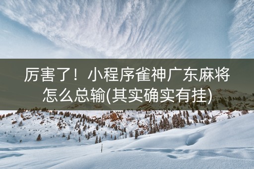厉害了！小程序雀神广东麻将怎么总输(其实确实有挂)