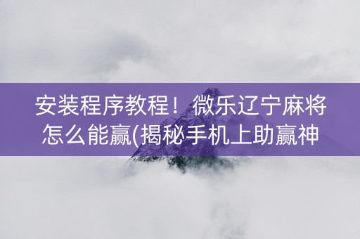 安装程序教程！微乐辽宁麻将怎么能赢(揭秘手机上助赢神器)