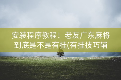 安装程序教程！老友广东麻将到底是不是有挂(有挂技巧辅助器)