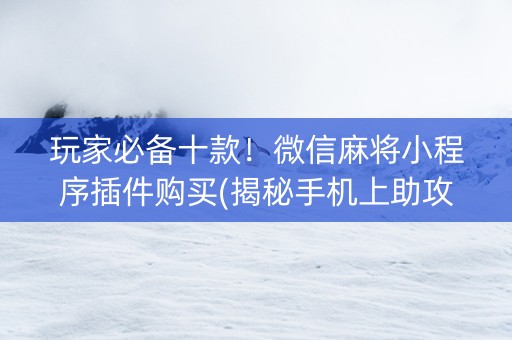 玩家必备十款！微信麻将小程序插件购买(揭秘手机上助攻神器)