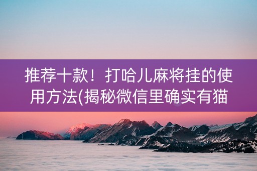 推荐十款！打哈儿麻将挂的使用方法(揭秘微信里确实有猫腻)