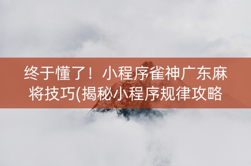 终于懂了！小程序雀神广东麻将技巧(揭秘小程序规律攻略)