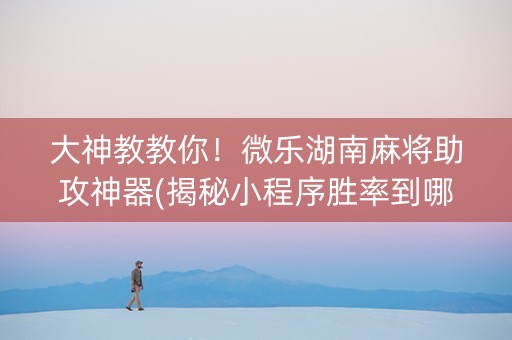 大神教教你！微乐湖南麻将助攻神器(揭秘小程序胜率到哪调)