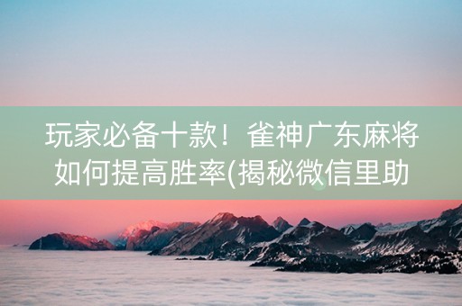 玩家必备十款！雀神广东麻将如何提高胜率(揭秘微信里助攻神器)