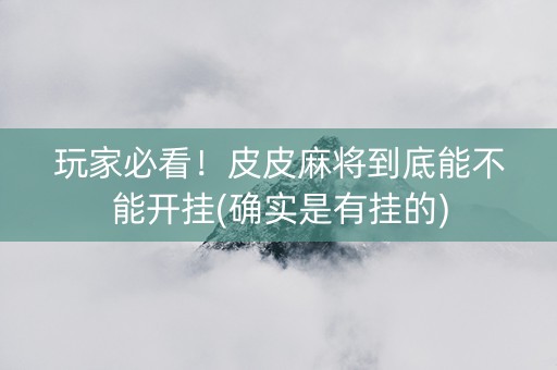 玩家必看！皮皮麻将到底能不能开挂(确实是有挂的)