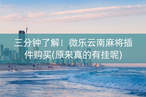 三分钟了解！微乐云南麻将插件购买(原来真的有挂呢)