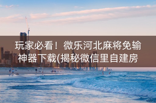 玩家必看！微乐河北麻将免输神器下载(揭秘微信里自建房怎么赢)