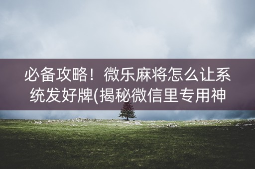 必备攻略！微乐麻将怎么让系统发好牌(揭秘微信里专用神器)