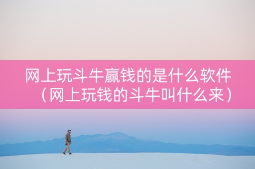 网上玩斗牛赢钱的是什么软件（网上玩钱的斗牛叫什么来）