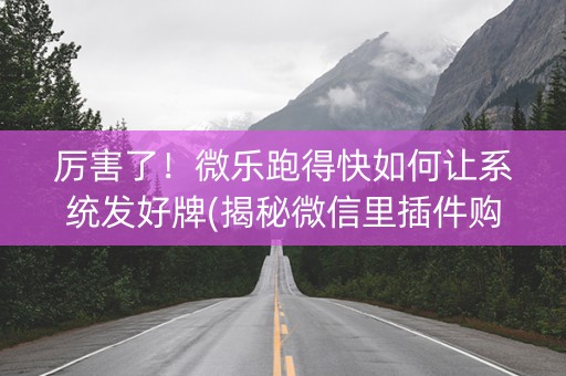 厉害了！微乐跑得快如何让系统发好牌(揭秘微信里插件购买)