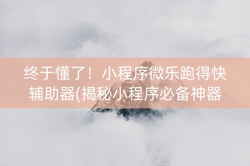 终于懂了！小程序微乐跑得快辅助器(揭秘小程序必备神器)
