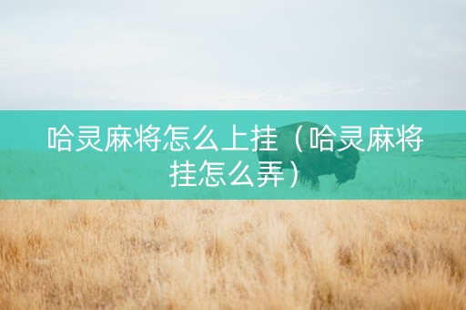 哈灵麻将怎么上挂（哈灵麻将挂怎么弄）