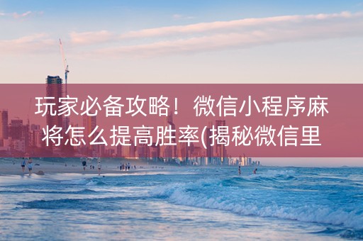 玩家必备攻略！微信小程序麻将怎么提高胜率(揭秘微信里插件下载)