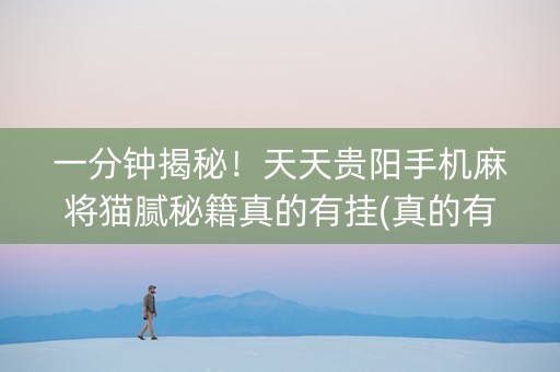 一分钟揭秘！天天贵阳手机麻将猫腻秘籍真的有挂(真的有挂确实有挂)
