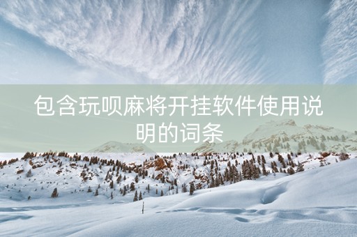 包含玩呗麻将开挂软件使用说明的词条