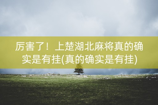 厉害了！上楚湖北麻将真的确实是有挂(真的确实是有挂)