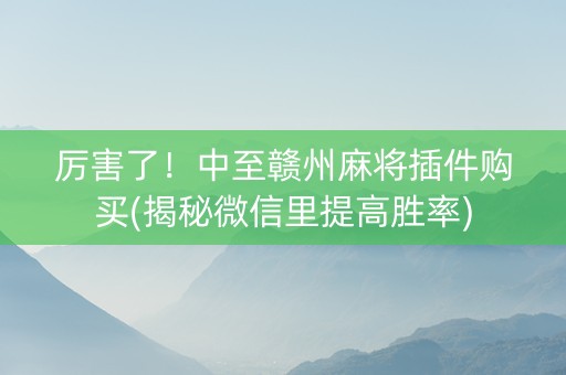 厉害了！中至赣州麻将插件购买(揭秘微信里提高胜率)