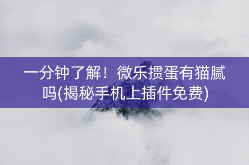 一分钟了解！微乐掼蛋有猫腻吗(揭秘手机上插件免费)