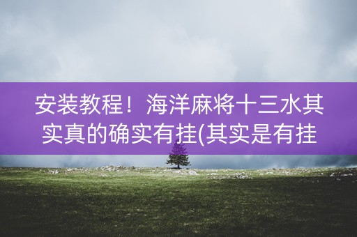 安装教程！海洋麻将十三水其实真的确实有挂(其实是有挂确实有挂)