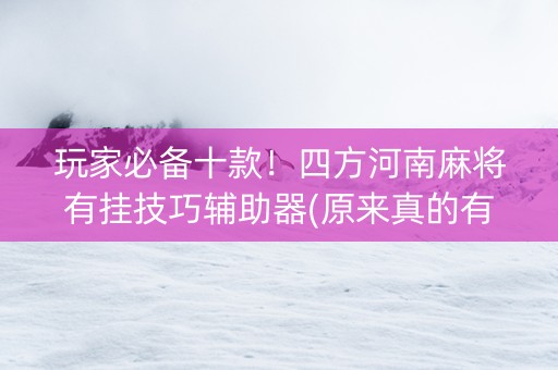 玩家必备十款！四方河南麻将有挂技巧辅助器(原来真的有挂)