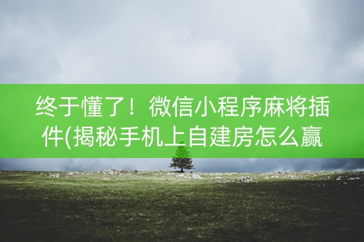 终于懂了！微信小程序麻将插件(揭秘手机上自建房怎么赢)