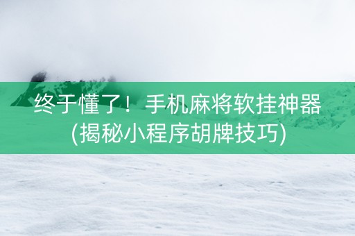 终于懂了！手机麻将软挂神器(揭秘小程序胡牌技巧)