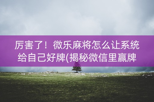 厉害了！微乐麻将怎么让系统给自己好牌(揭秘微信里赢牌技巧)