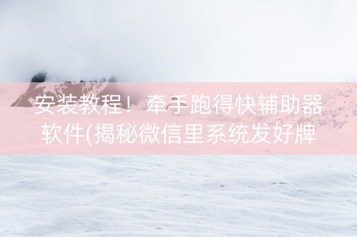 安装教程！牵手跑得快辅助器软件(揭秘微信里系统发好牌)